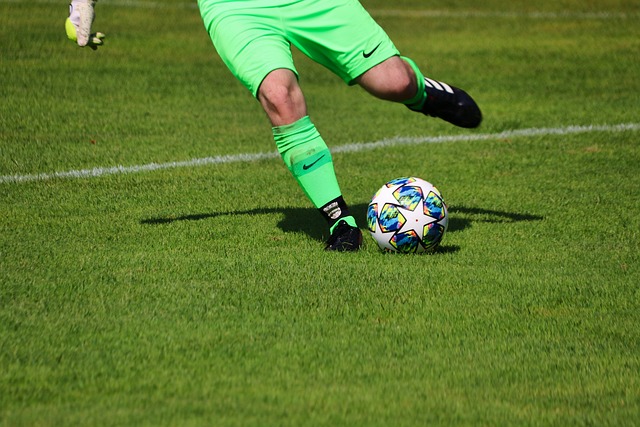 填补这两处 填补这两处