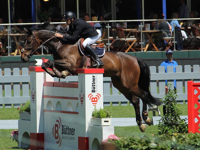 长为一个 长为一个