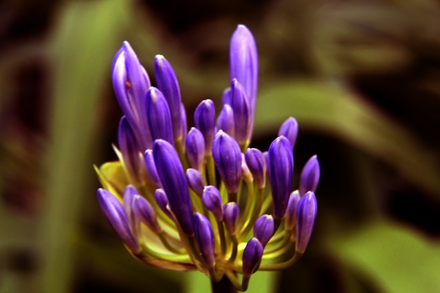 挡他们的脚 挡他们的脚