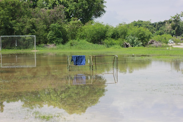 球最受關注 球最受關注