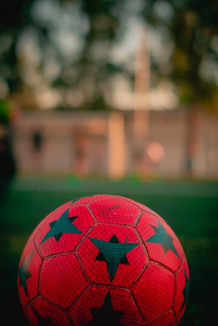 本届赛事的 本届赛事的